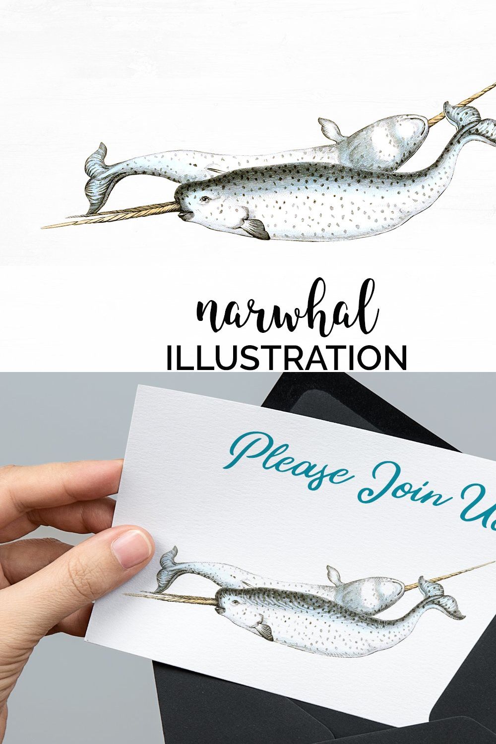 Narwhal Clipart Vintage pinterest preview image.