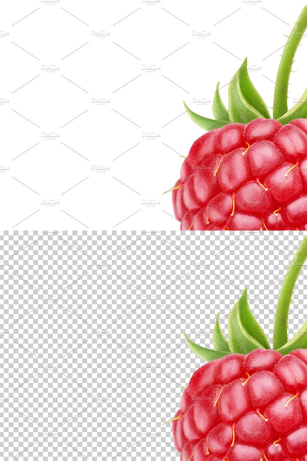 One raspberry pinterest preview image.