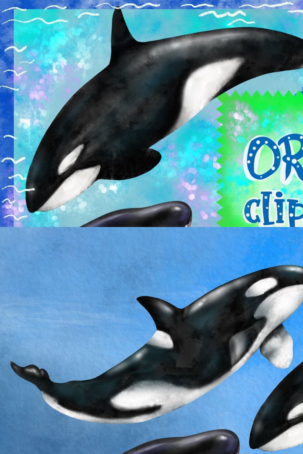ORCA Clipart Lovely Killer Whale pinterest preview image.