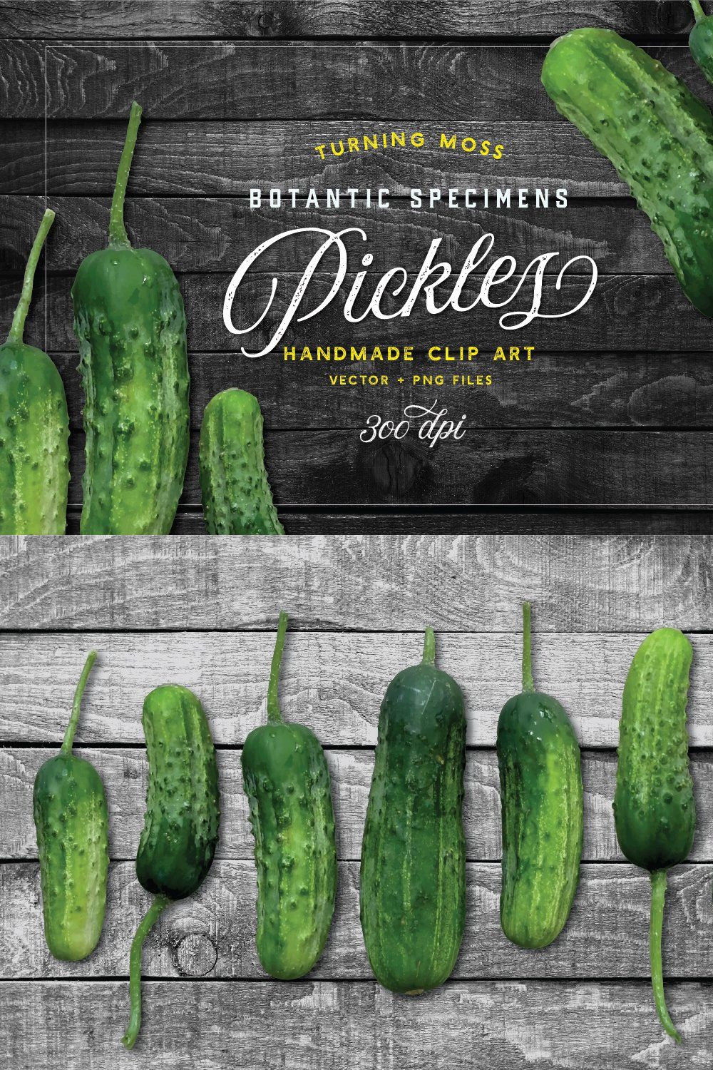 Pickle Vector - Botanic Specimens pinterest preview image.