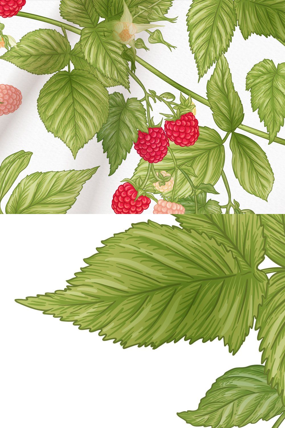 Raspberries - 6 Seamless Patterns pinterest preview image.