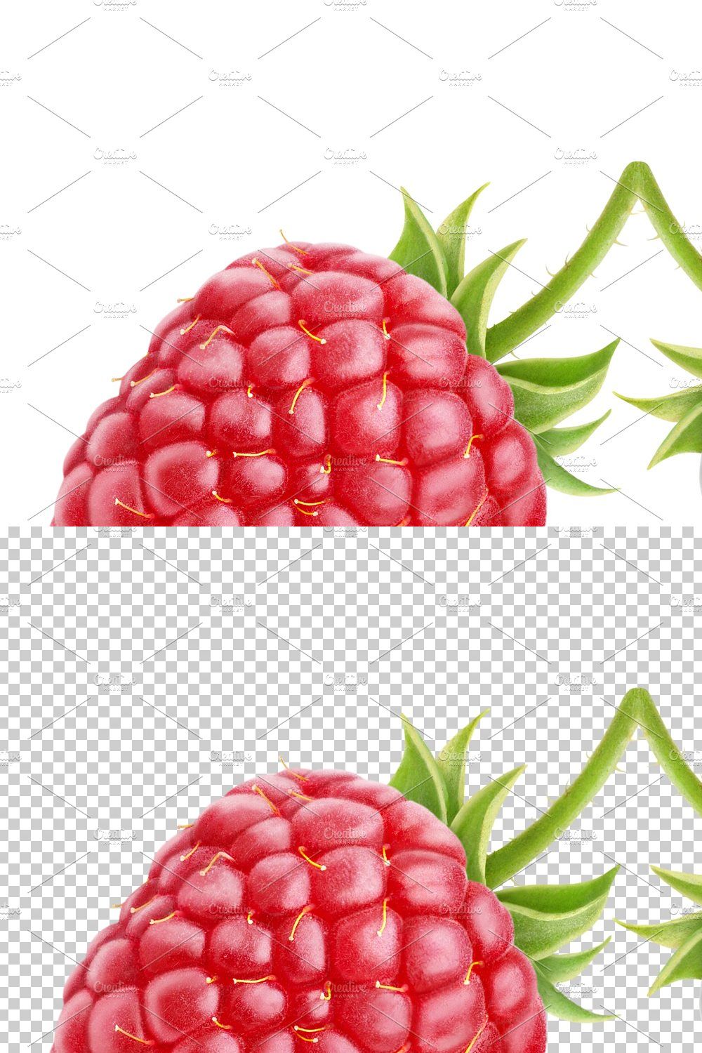 Raspberry and blackberry pinterest preview image.