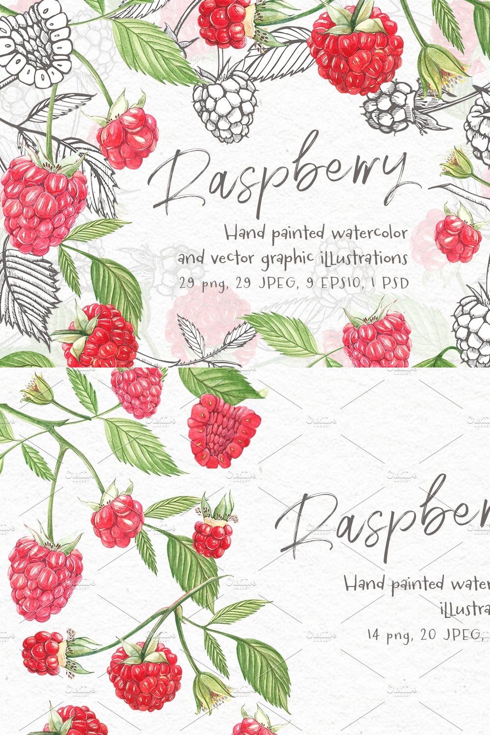 Raspberry Graphic&Watercolor clipart pinterest preview image.
