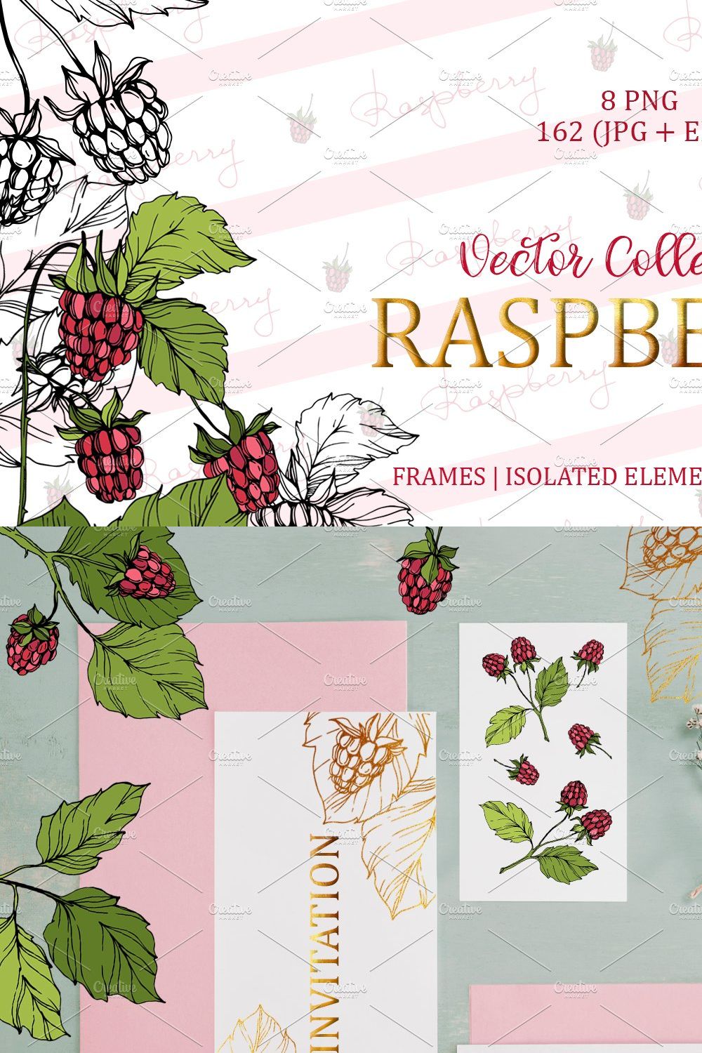 Raspberry Vector Collection pinterest preview image.