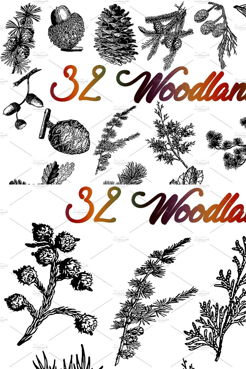 Sale 50% OFF 32 Woodland vectors pinterest preview image.