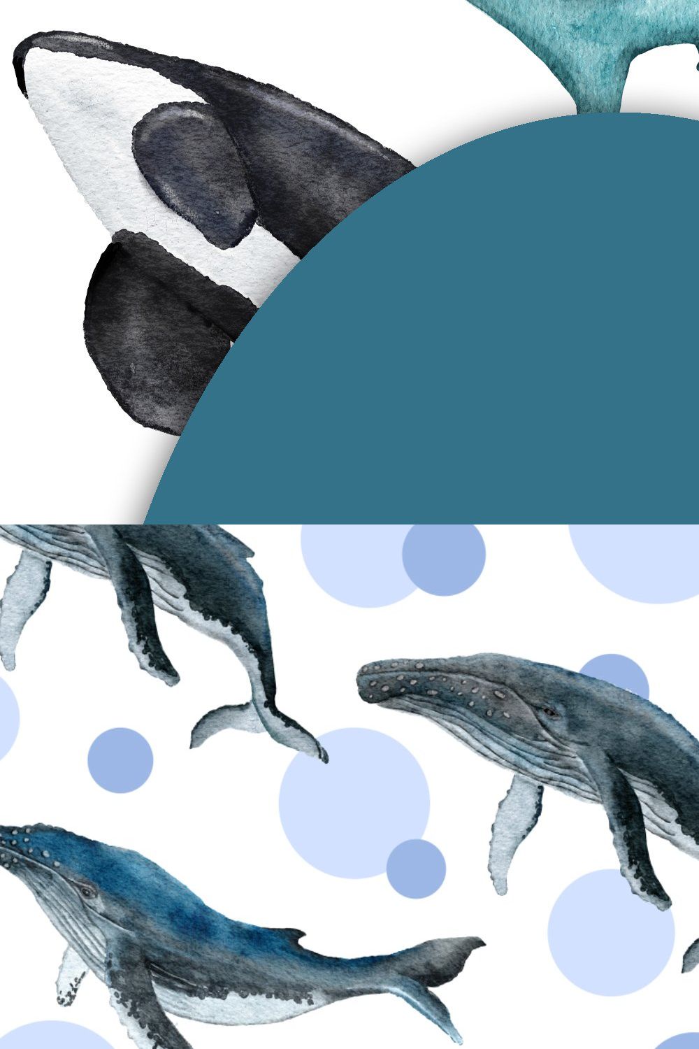 Sea Animals Clipart & Patterns pinterest preview image.