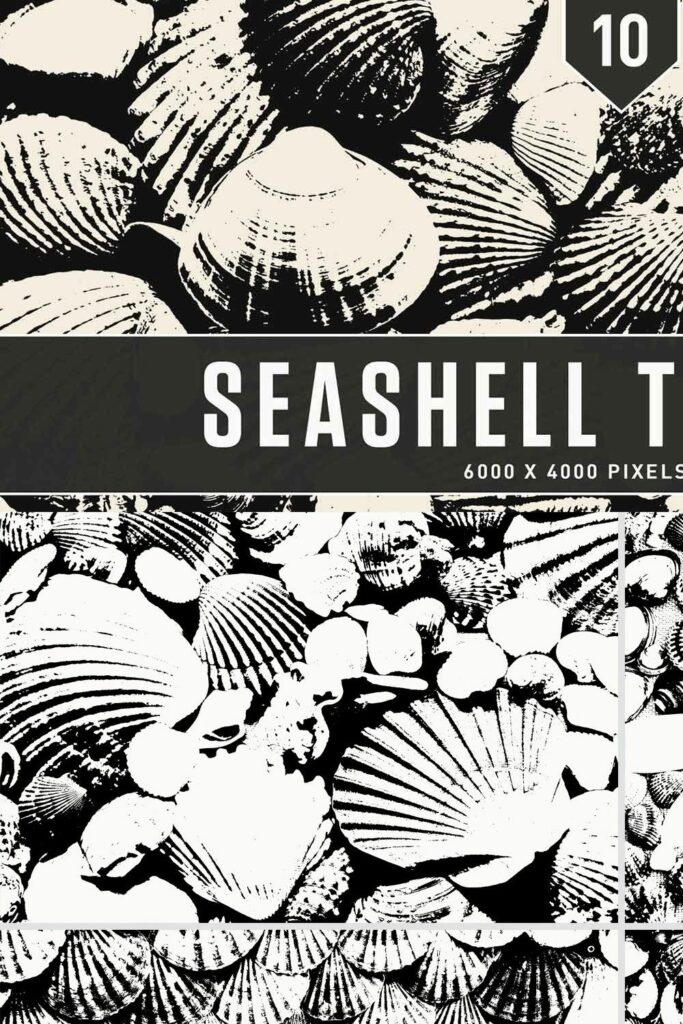 Seashell Textures – MasterBundles
