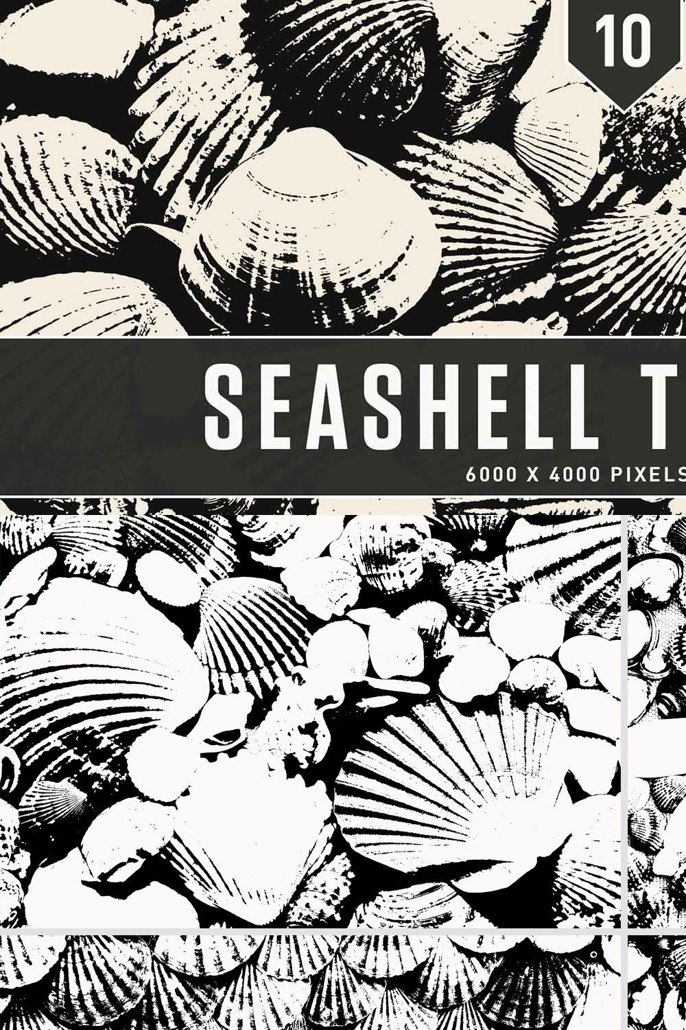 Seashell Textures pinterest preview image.