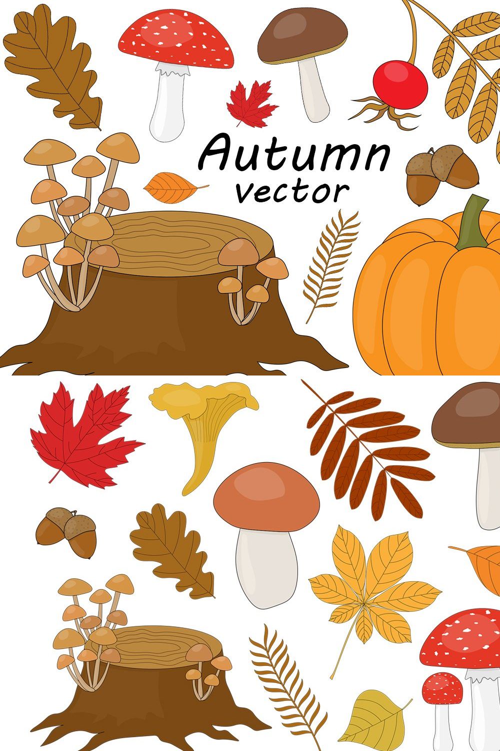 Set Autumn vector illustration pinterest preview image.