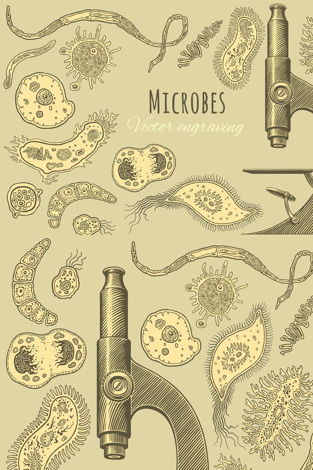 Set Microbes. Vector engraving. pinterest preview image.