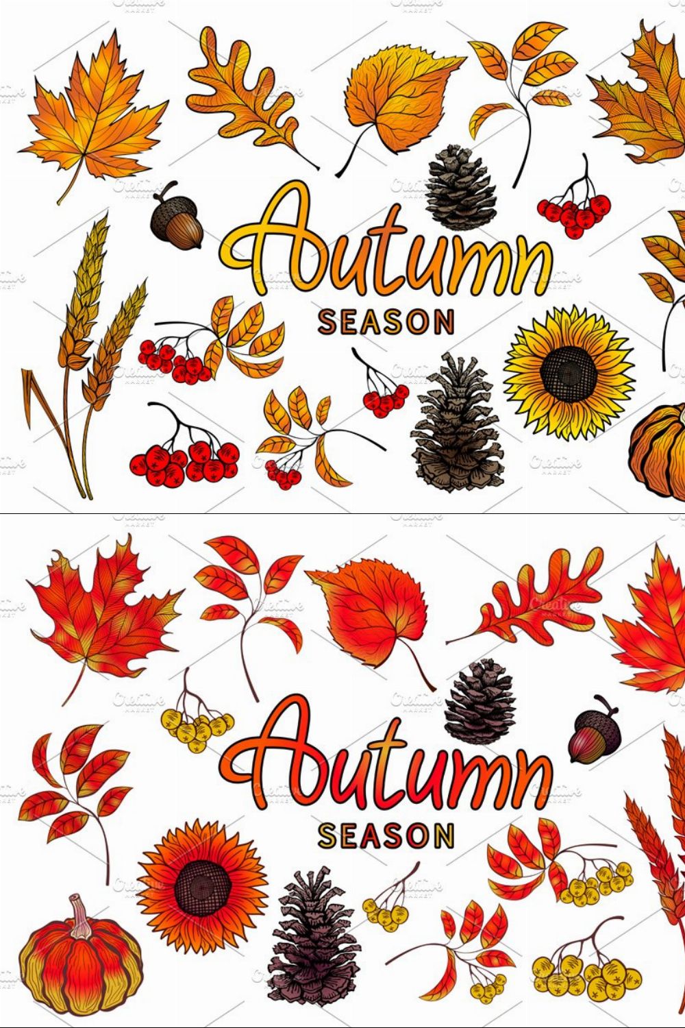 Set of colorful autumn leaves pinterest preview image.