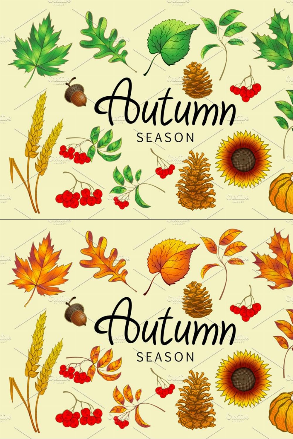 Set of colorful autumn leaves vector pinterest preview image.