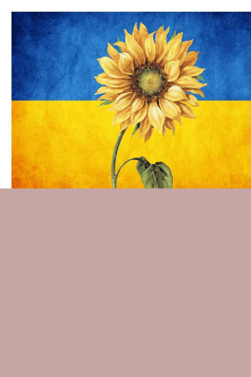 Sunflower On Ukraine Flag Png pinterest preview image.
