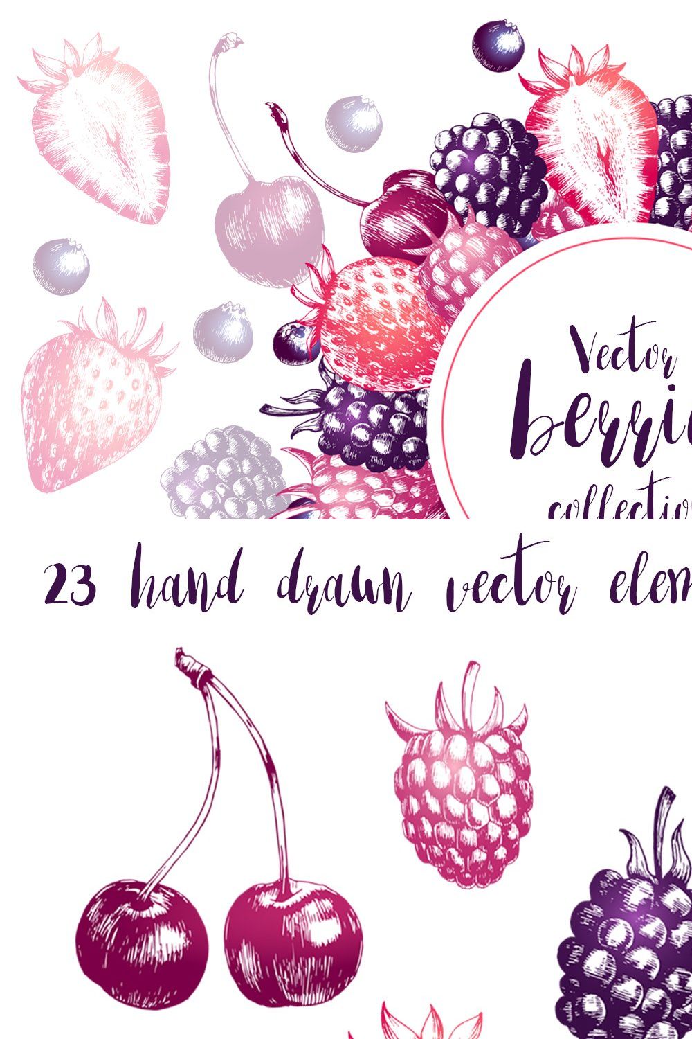 Vector berries collection pinterest preview image.