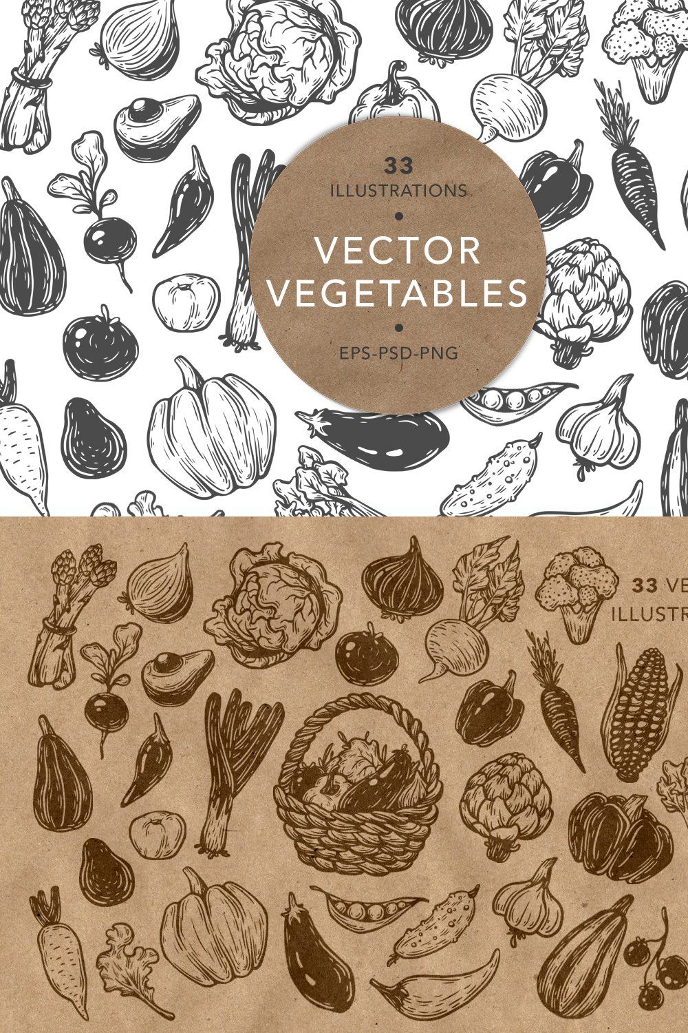 Vector Vegetables. Illustrations. pinterest preview image.