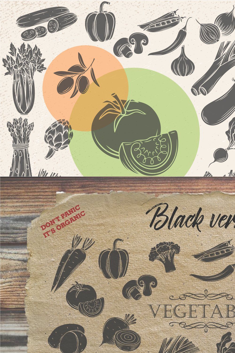 Vegetables in Retro Slyle pinterest preview image.