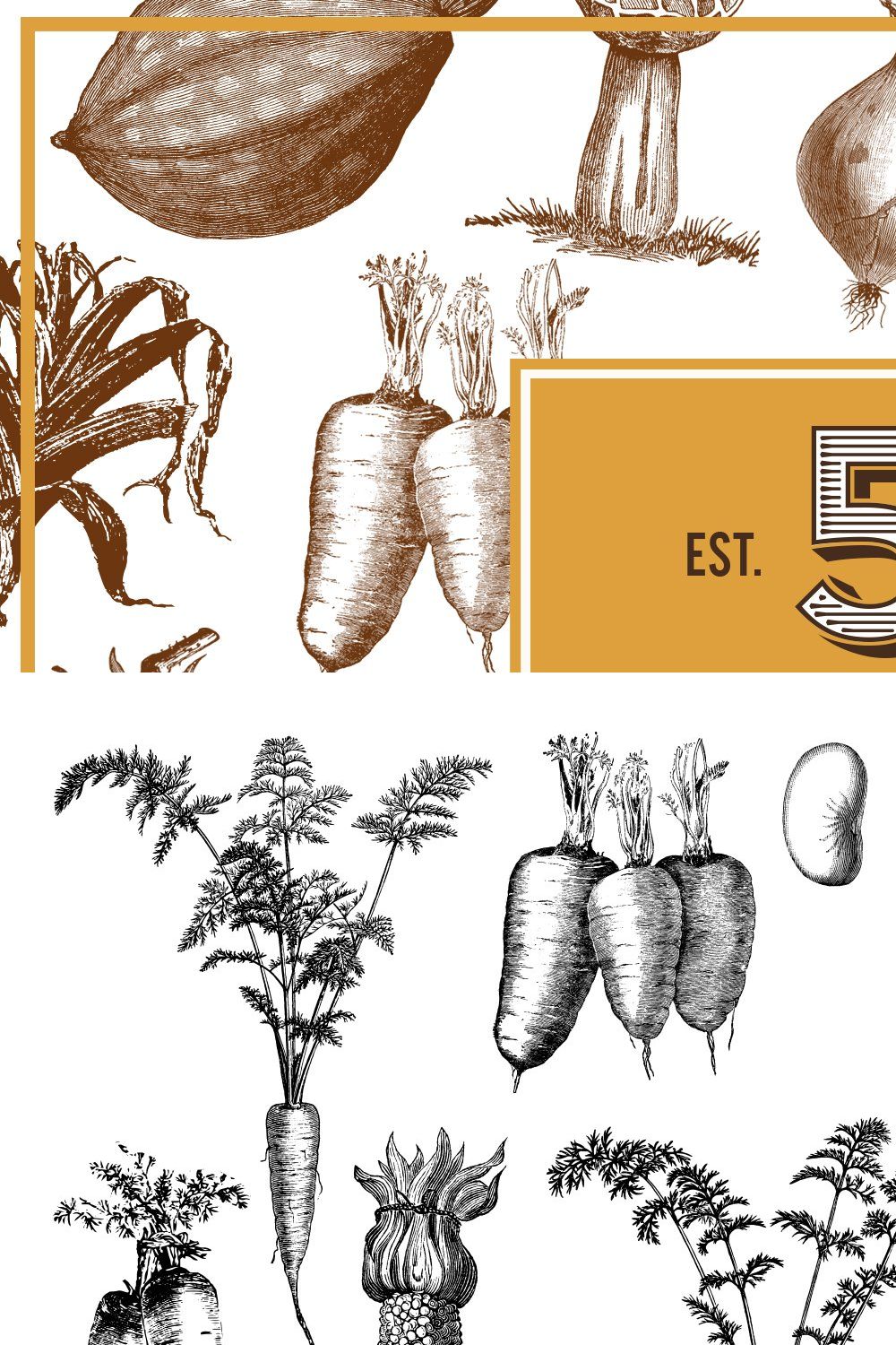 Vegetables Vintage Illustrations pinterest preview image.