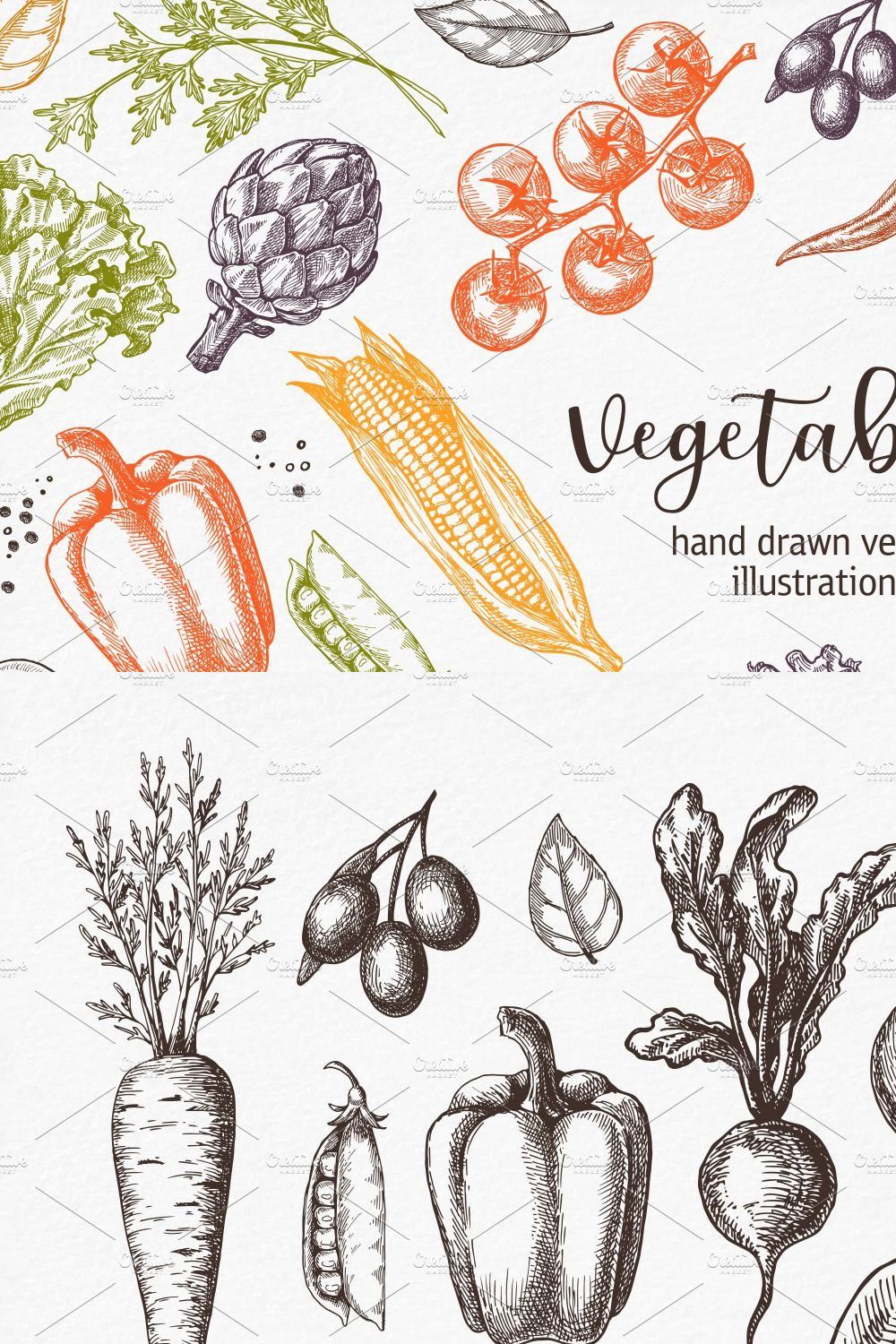 Vegetables. Hand drawn collection. pinterest preview image.