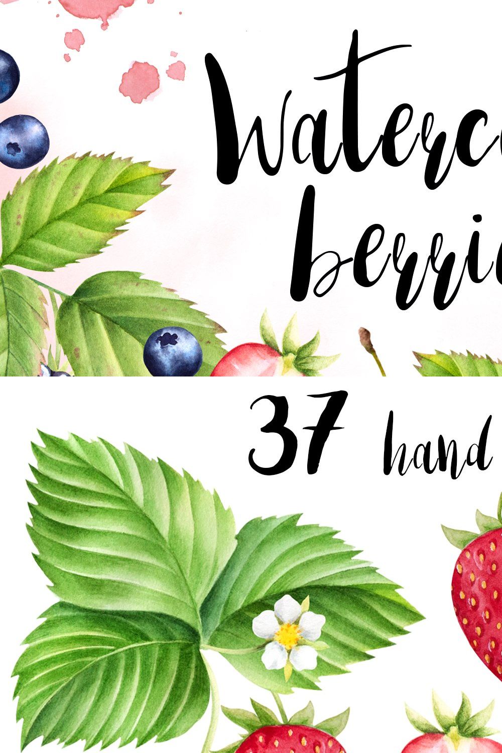 Watercolor berries collection pinterest preview image.