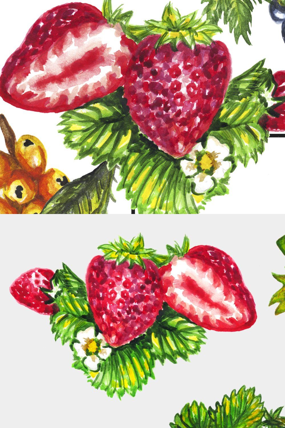 Watercolor berries set pinterest preview image.