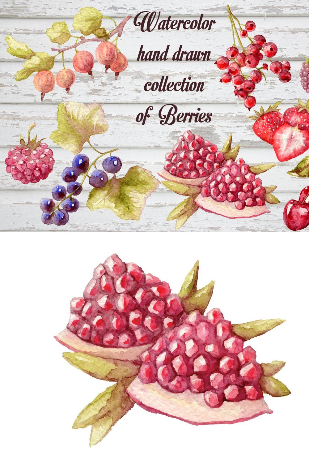 Watercolor berries vectorized pinterest preview image.