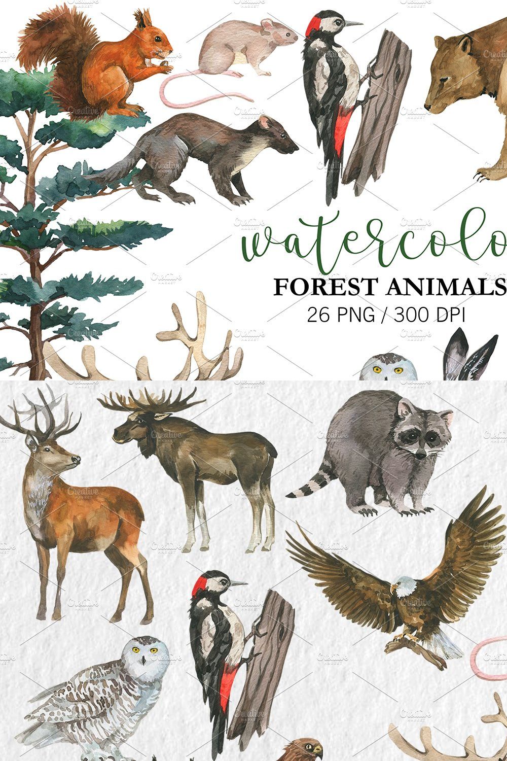 Watercolor Forest Animal Clipart PNG pinterest preview image.
