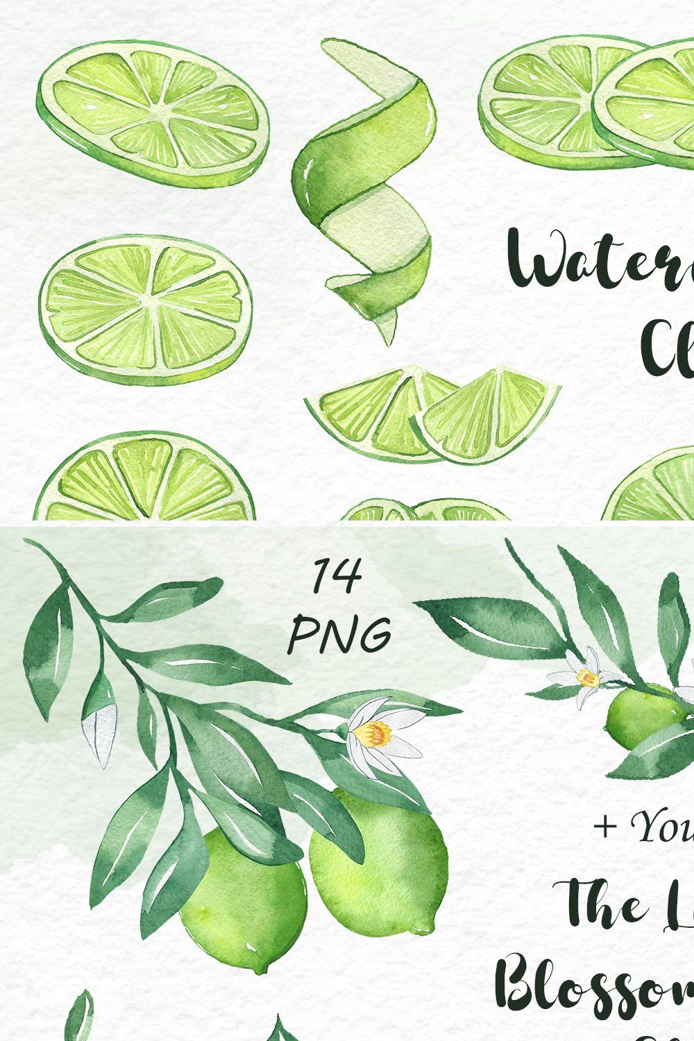 Watercolor Lime Clipart pinterest preview image.