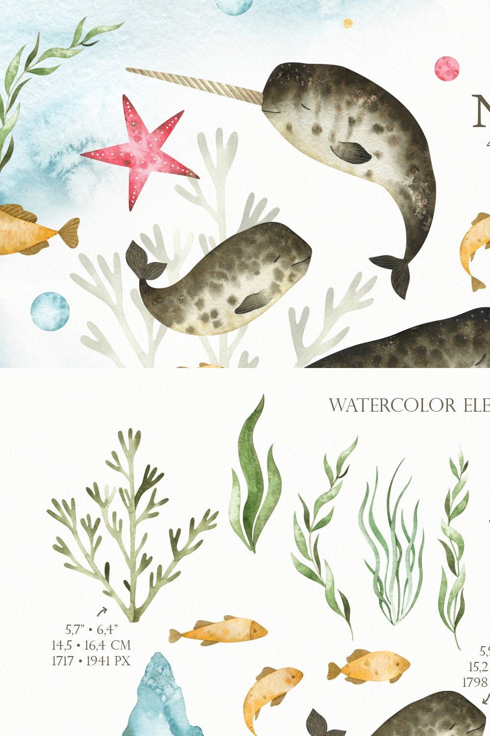 Watercolor Narwhals Clipart pinterest preview image.