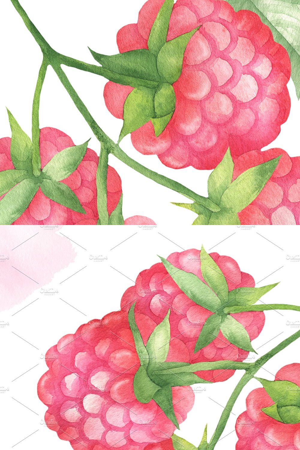 Watercolor Raspberry pinterest preview image.