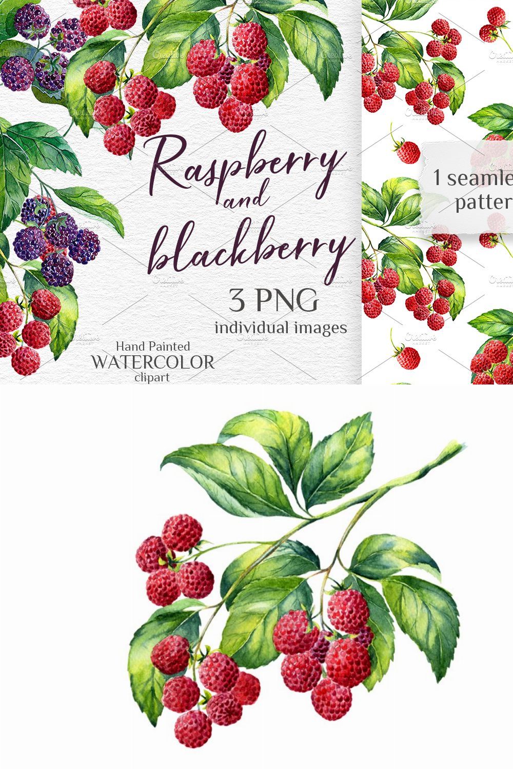 Watercolor raspberry and blackberry pinterest preview image.