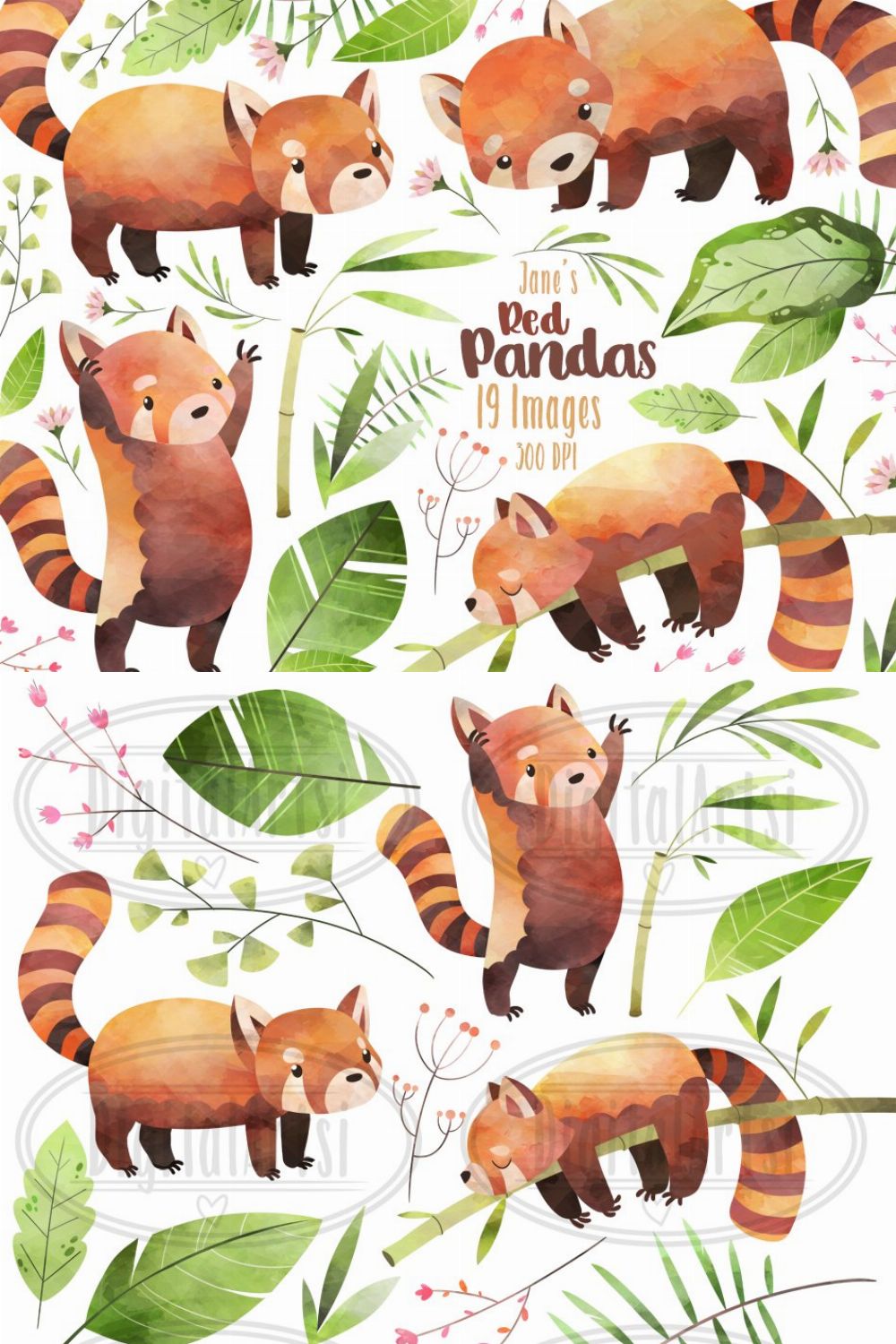 Watercolor Red Pandas Clipart pinterest preview image.