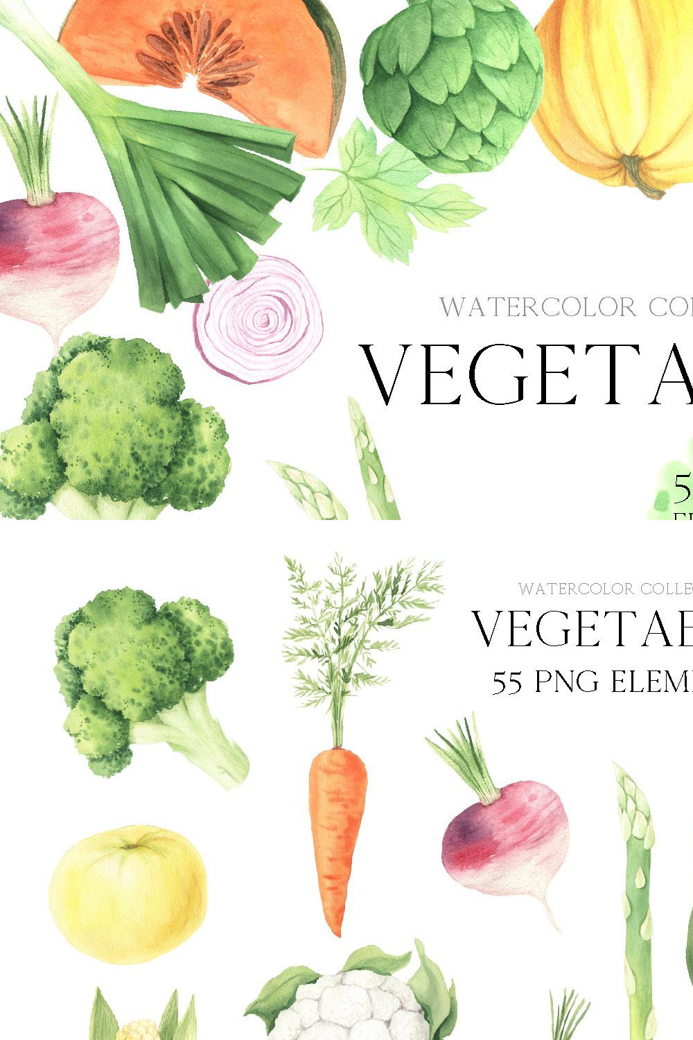 Watercolor Vegetables clipart pinterest preview image.