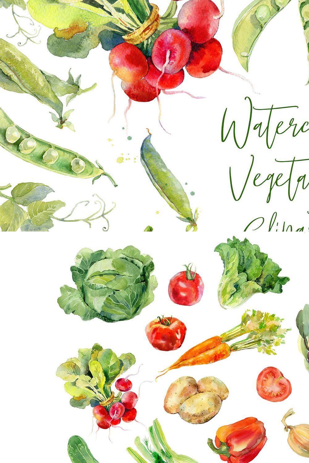 Watercolor vegetables set pinterest preview image.
