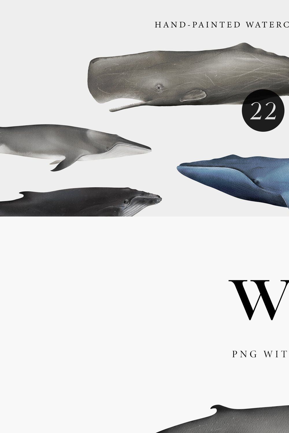 Watercolor Whales. Ocean animals set pinterest preview image.