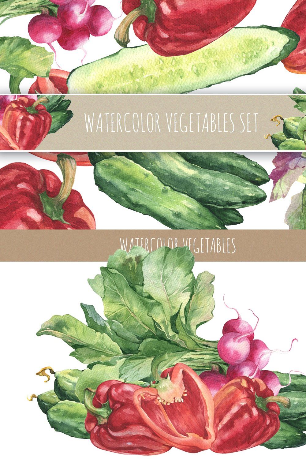 Watercolors vegetables and patterns pinterest preview image.