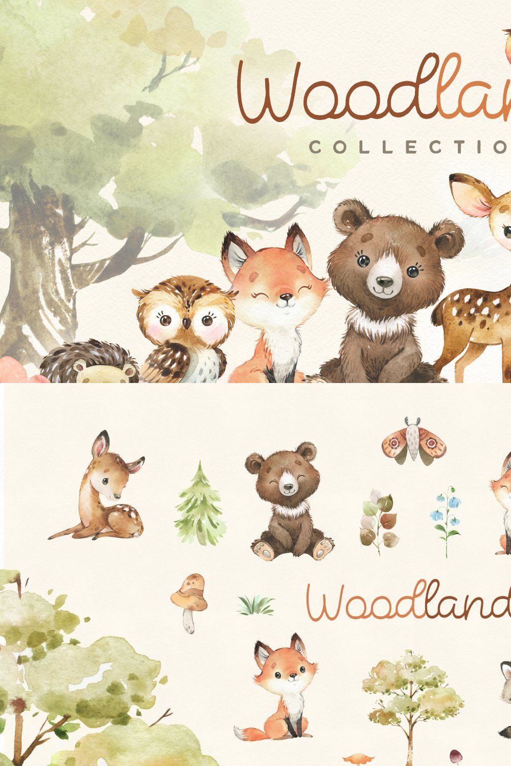 Woodland. Animal Collection pinterest preview image.