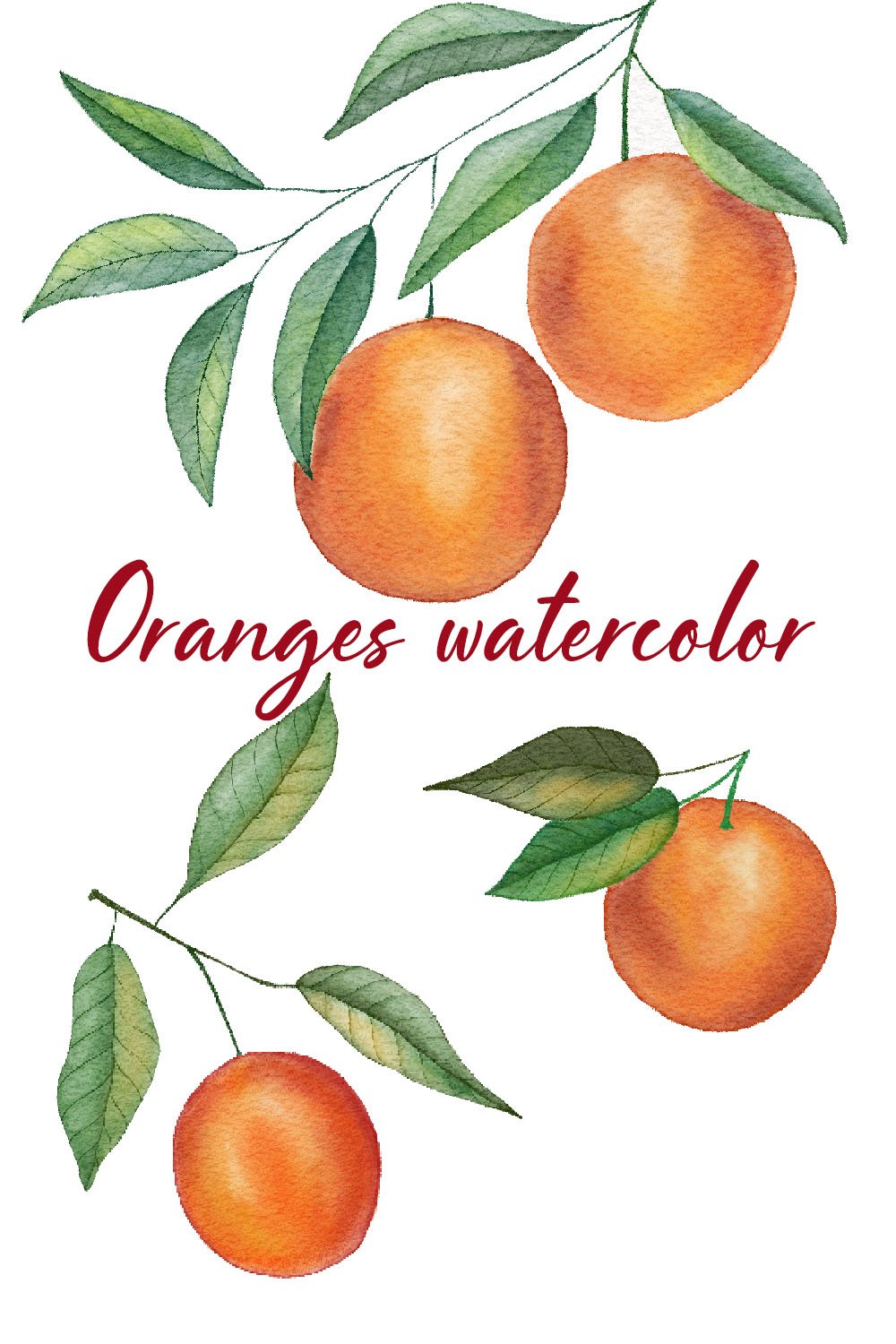Watercolor oranges clip art pinterest preview image.