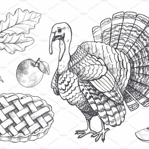 Bird Turkey and Baked Pie Apple Set cover image.