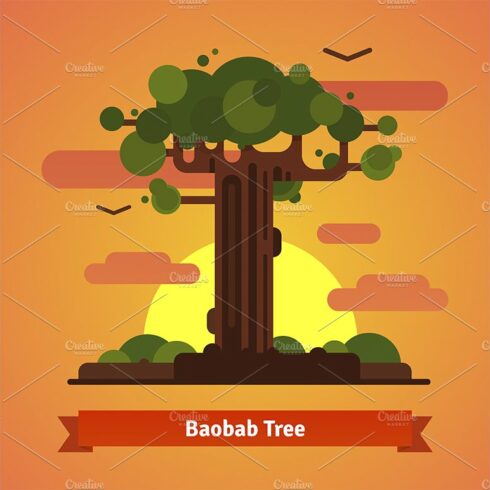 Baobab tree evening sunset scene cover image.