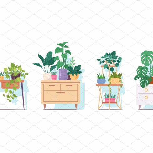 Various potted indoor plants cover image.
