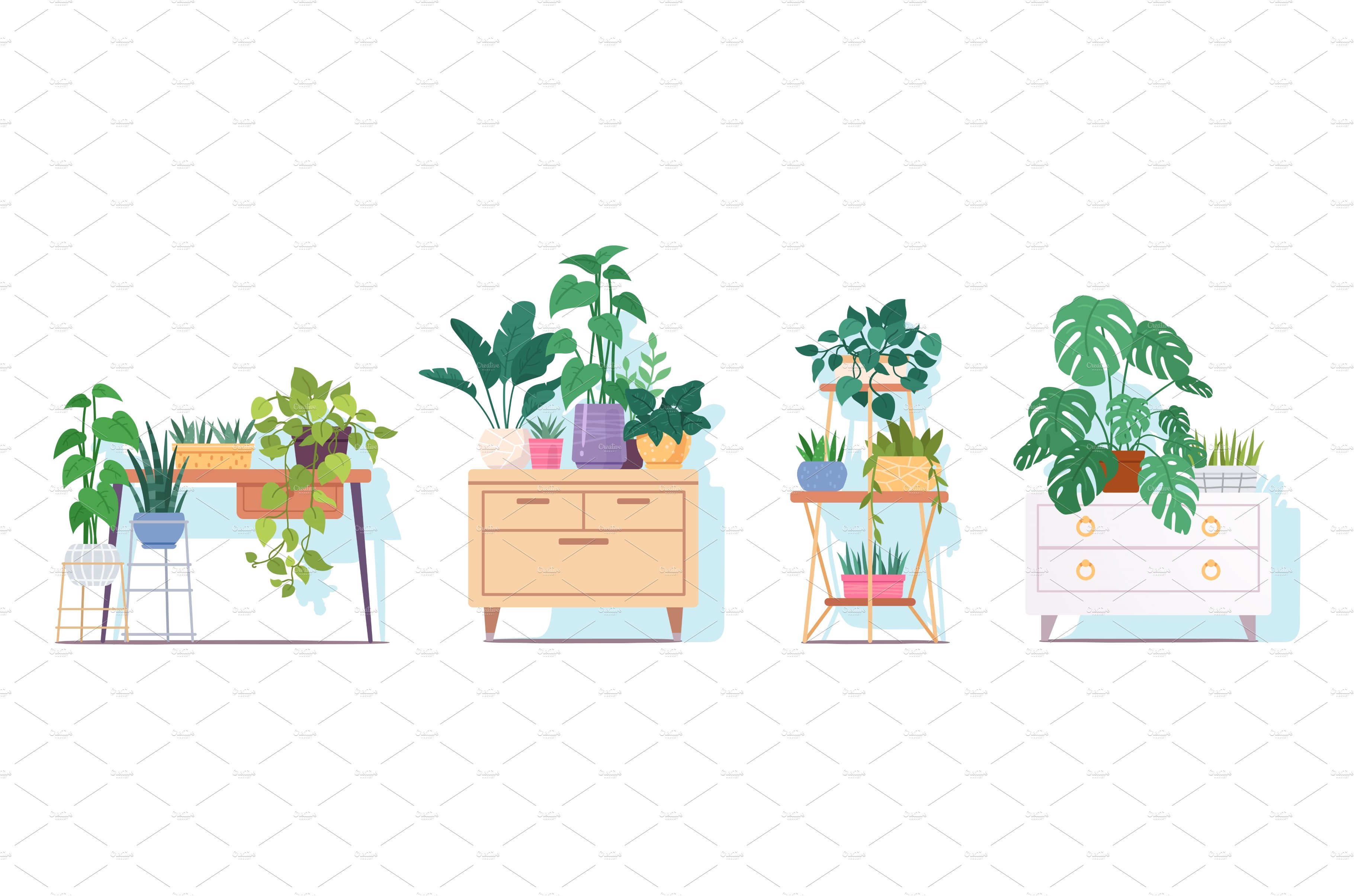 Various potted indoor plants cover image.