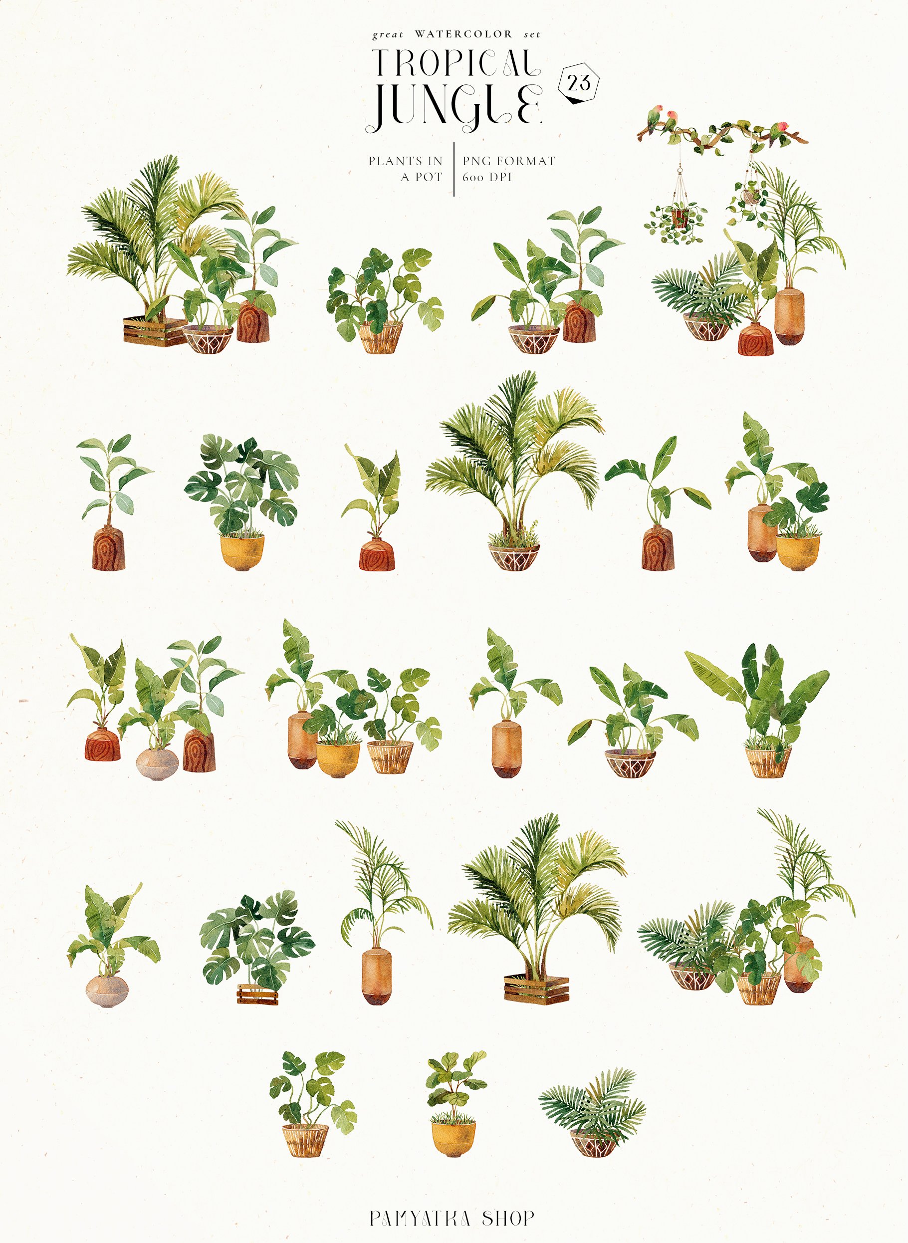 plants in a pot 13