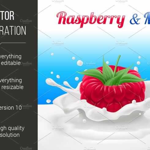 Raspberry cover image.