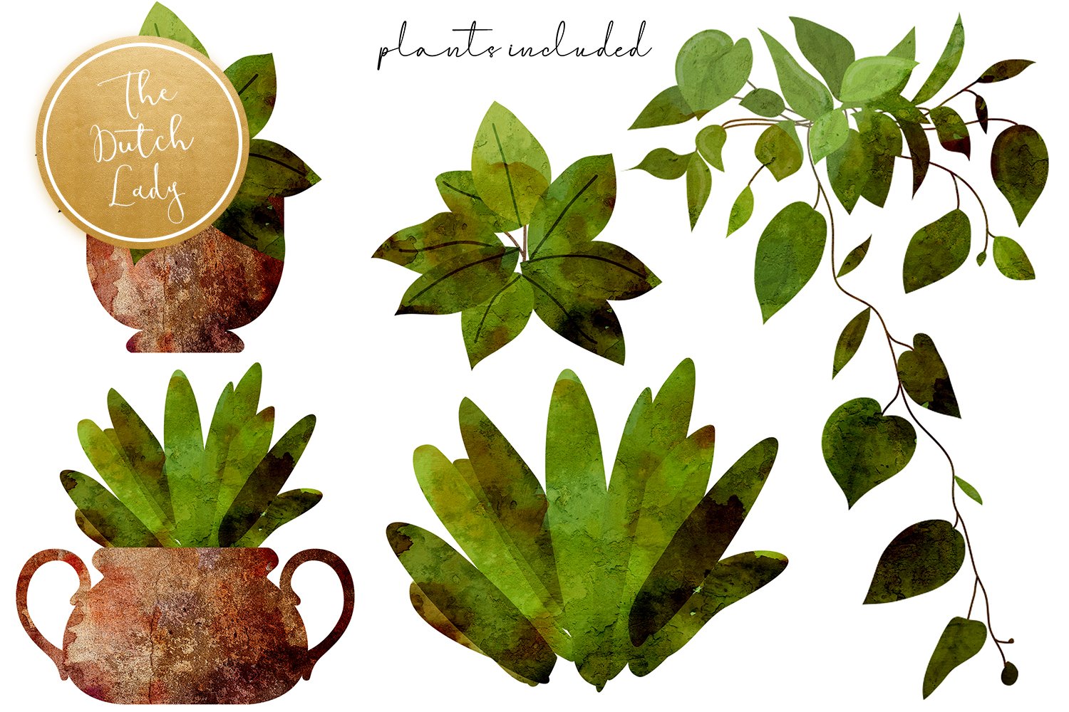 potted plants clipart 405