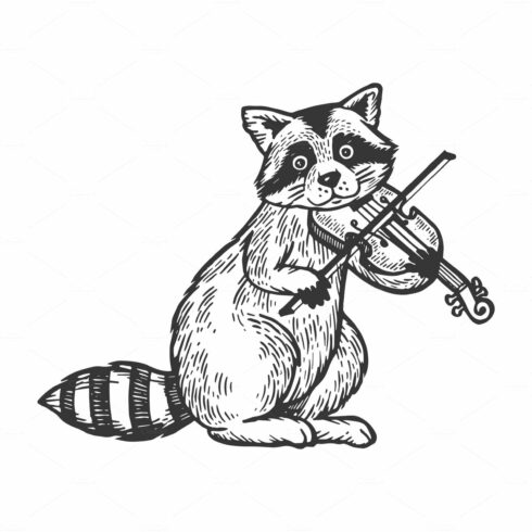 Raccoon playing violin engraving cover image.