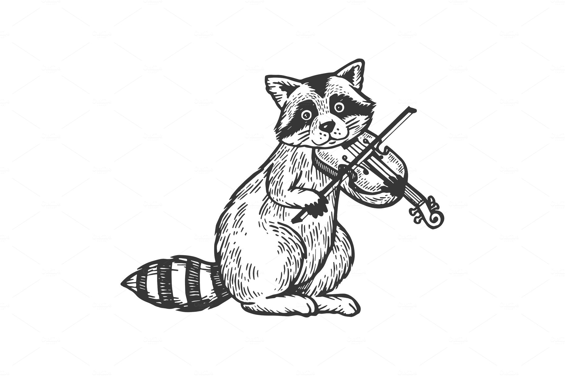 Raccoon playing violin engraving cover image.