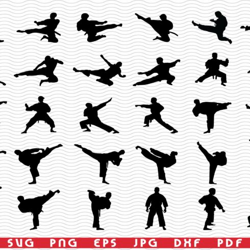 SVG Karate Fighters, Silhouettes cover image.