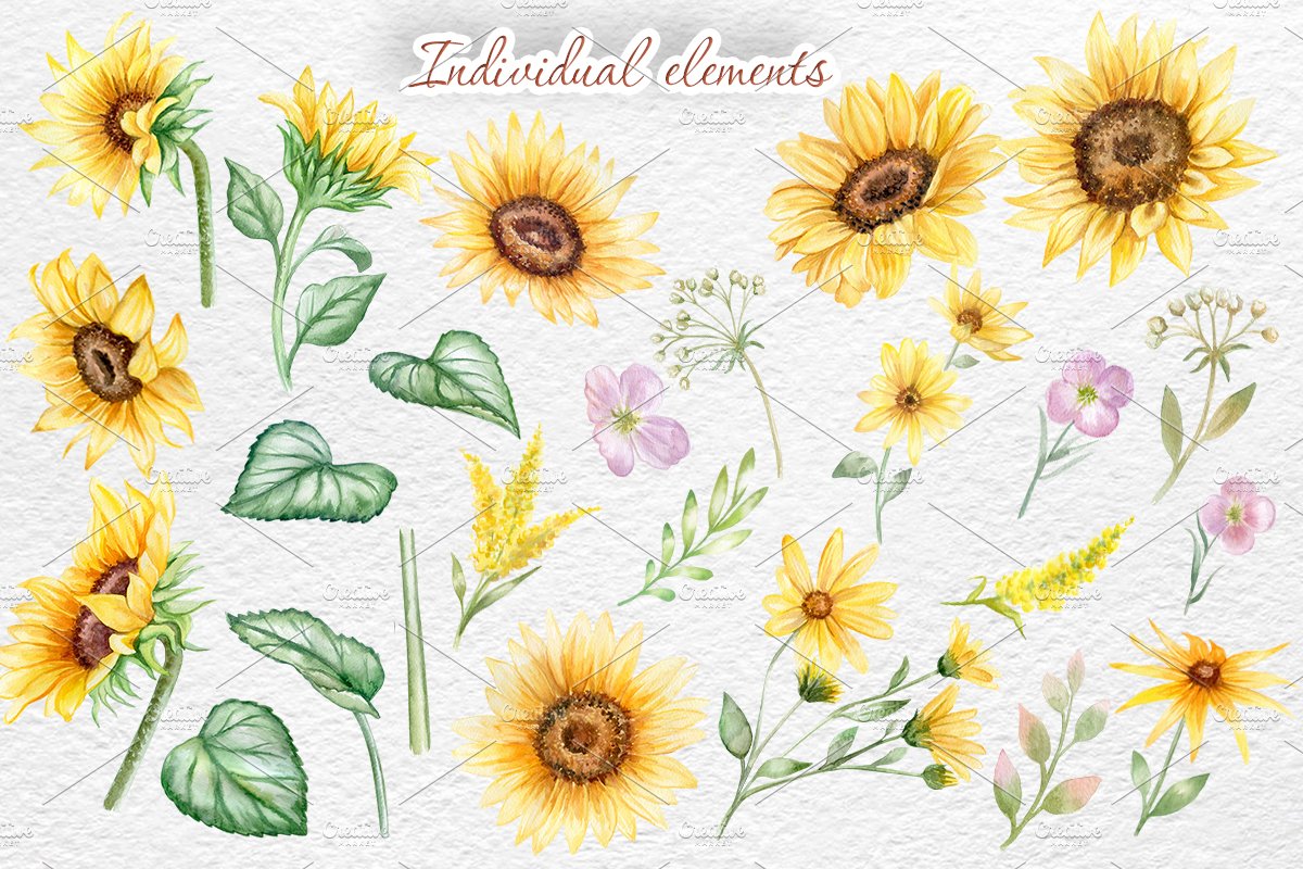 Sunflowers. Watercolor collection preview image.