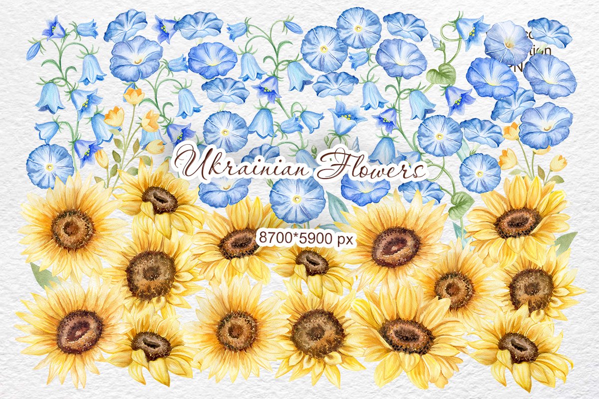 Ukraine watercolor flowers clipart preview image.