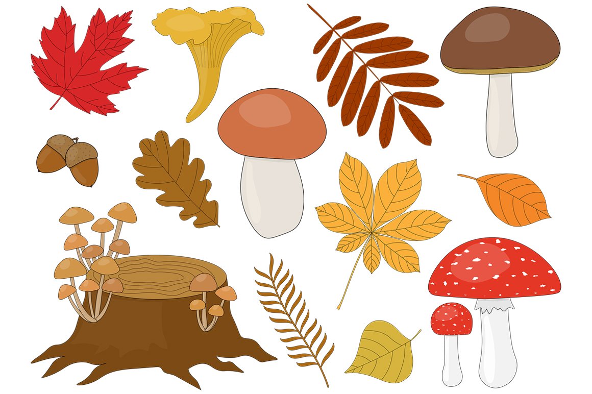 Set Autumn vector illustration preview image.